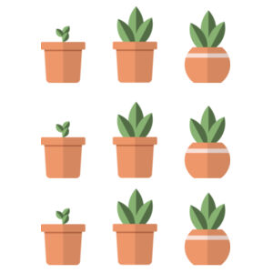 Small Pot Plants - AS Colour Mens Supply Hood Design